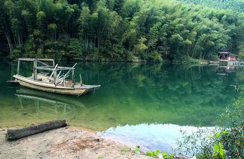 新型智能系统